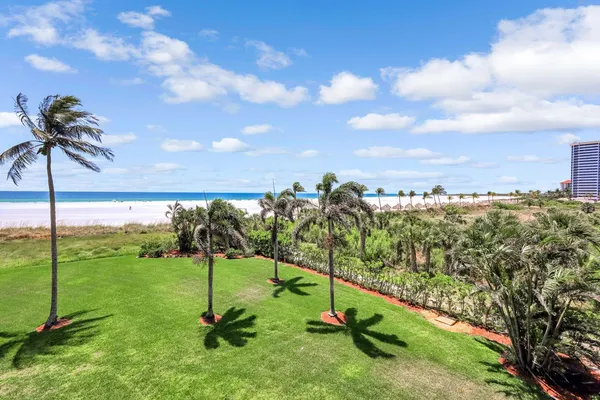 a view of a garden with a slide