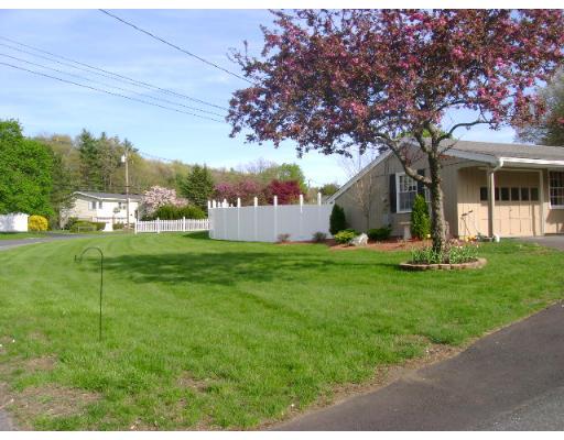 19 Catherine Road Framingham, MA 01701 - Photo 3 of 10 a view of a house with backyard and a tree