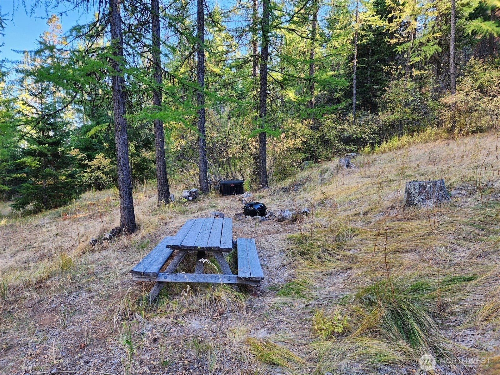 20-xx Microwave Road Cle Elum, WA 98922 - Photo 11 of 39 Gallery Image 11