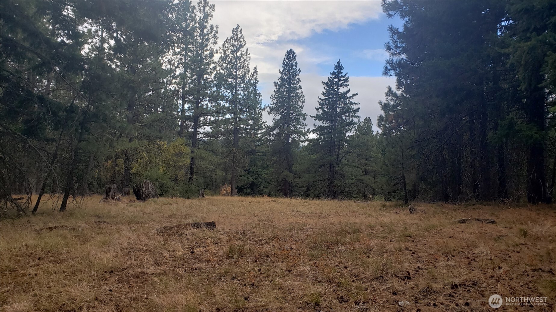 20-xx Microwave Road Cle Elum, WA 98922 - Photo 12 of 39 Gallery Image 12
