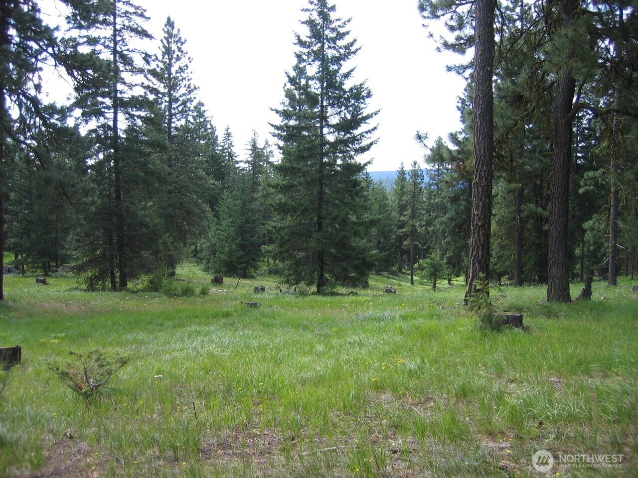 20-xx Microwave Road Cle Elum, WA 98922 - Photo 15 of 39 Gallery Image 15