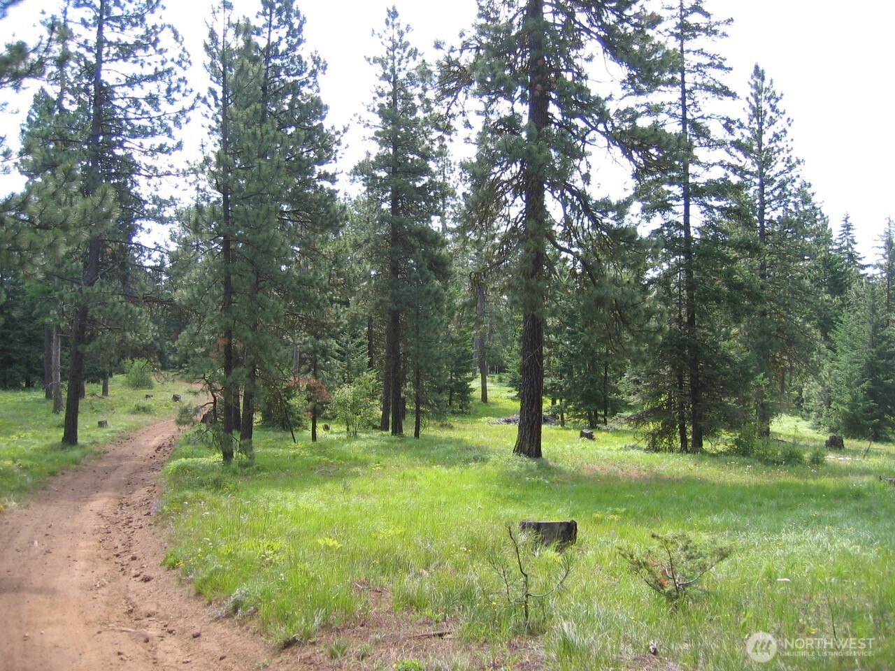 20-xx Microwave Road Cle Elum, WA 98922 - Photo 16 of 39 Gallery Image 16