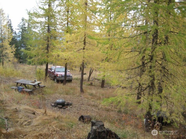 20-xx Microwave Road Cle Elum, WA 98922 - Photo 17 of 39 Gallery Image 17
