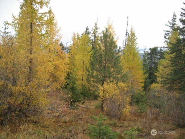 20-xx Microwave Road Cle Elum, WA 98922 - Photo 18 of 39 Gallery Image 18