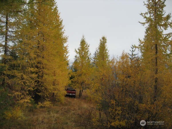 20-xx Microwave Road Cle Elum, WA 98922 - Photo 19 of 39 Gallery Image 19