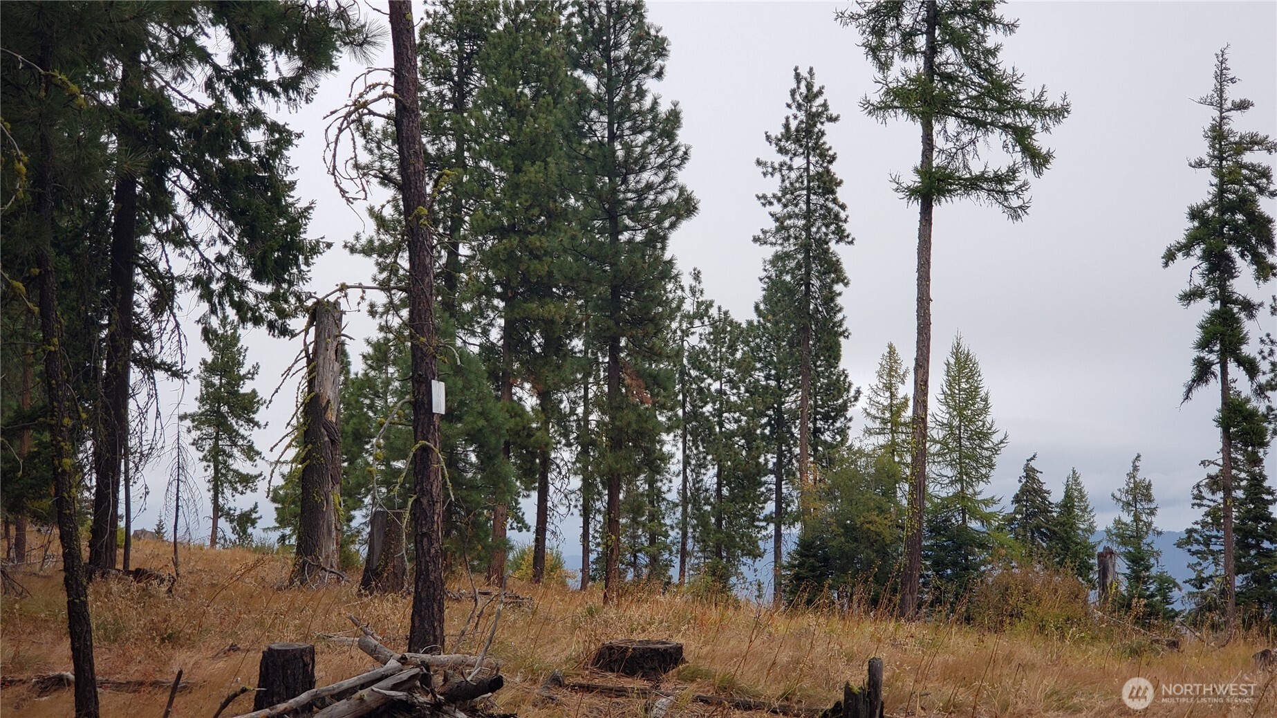 20-xx Microwave Road Cle Elum, WA 98922 - Photo 20 of 39 Gallery Image 20