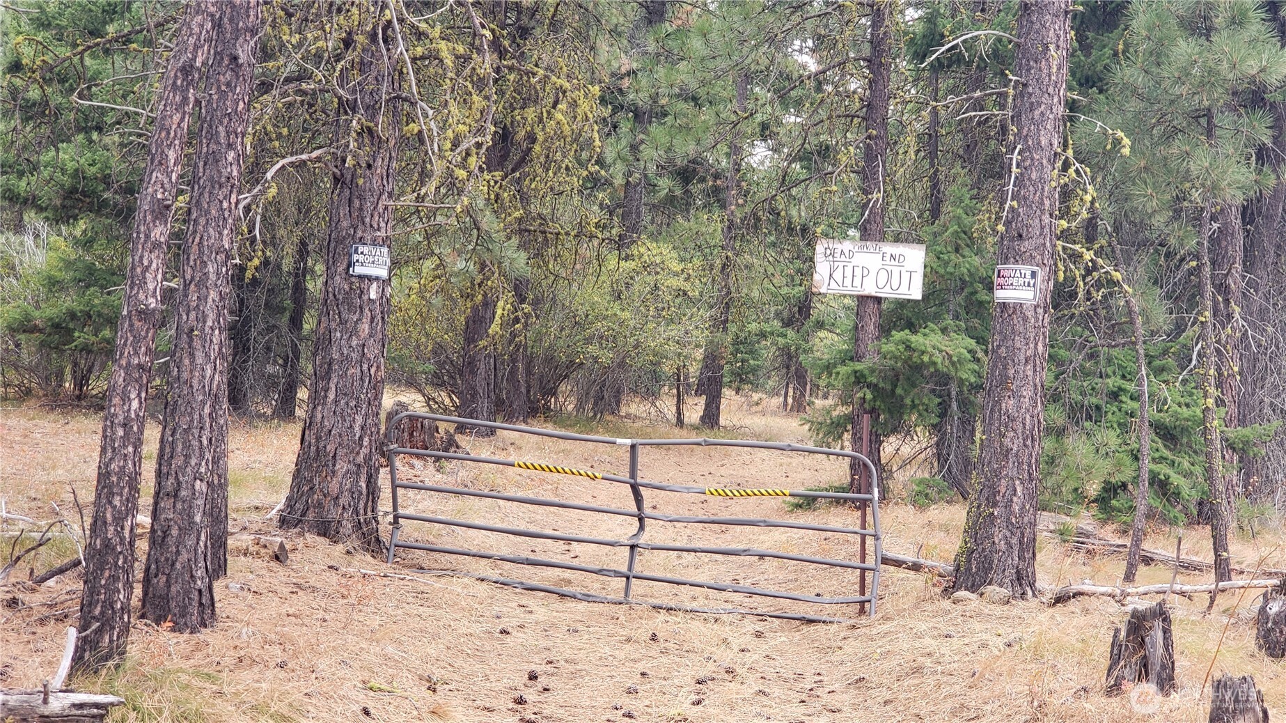 20-xx Microwave Road Cle Elum, WA 98922 - Photo 21 of 39 Gallery Image 21