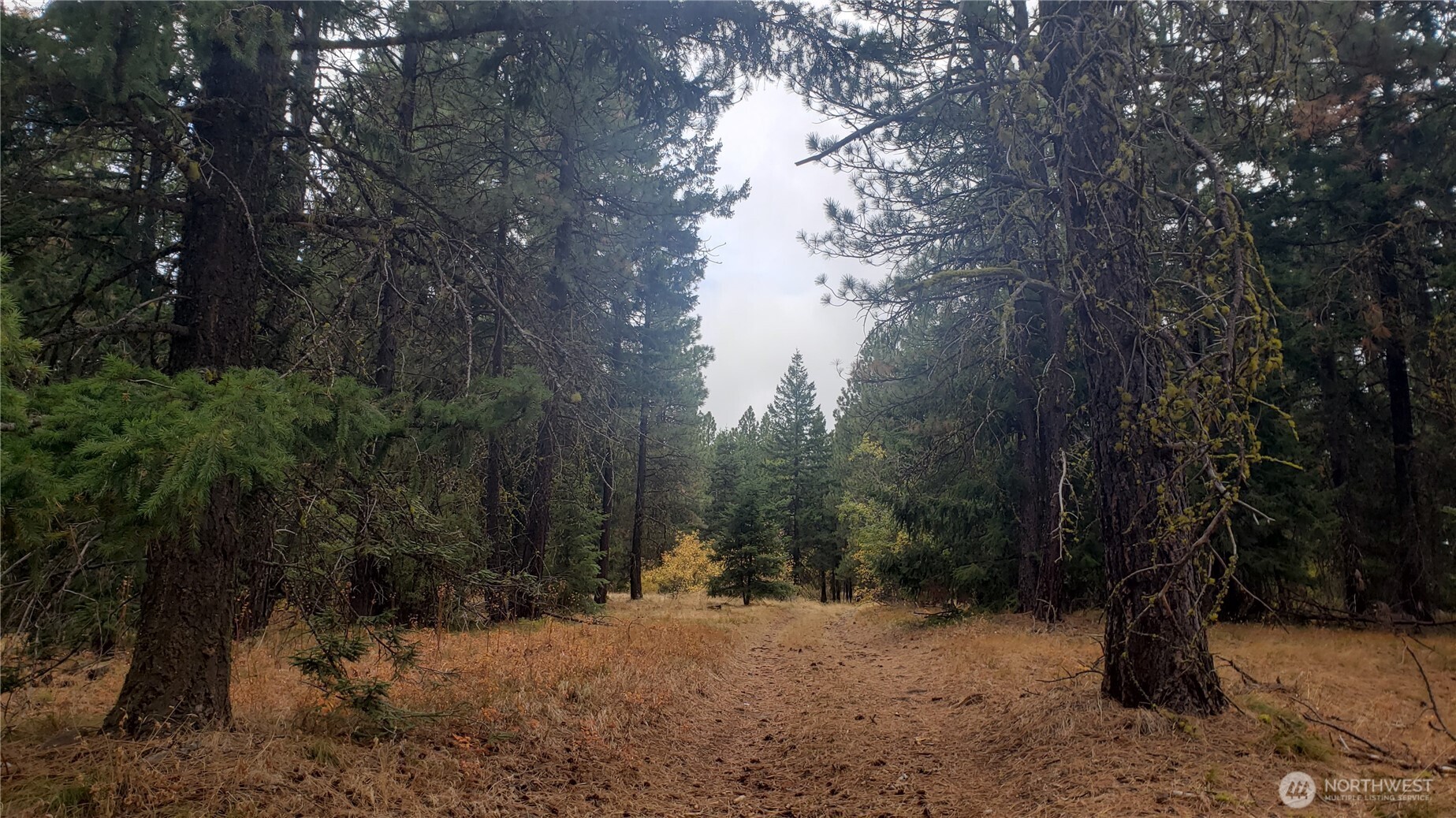20-xx Microwave Road Cle Elum, WA 98922 - Photo 24 of 39 Gallery Image 24