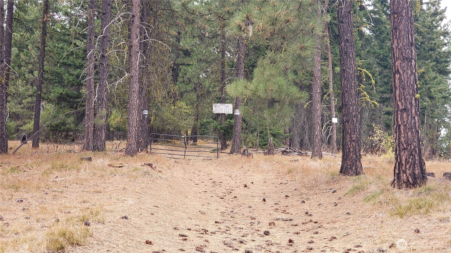 20-xx Microwave Road Cle Elum, WA 98922 - Photo 26 of 39 Gallery Image 26