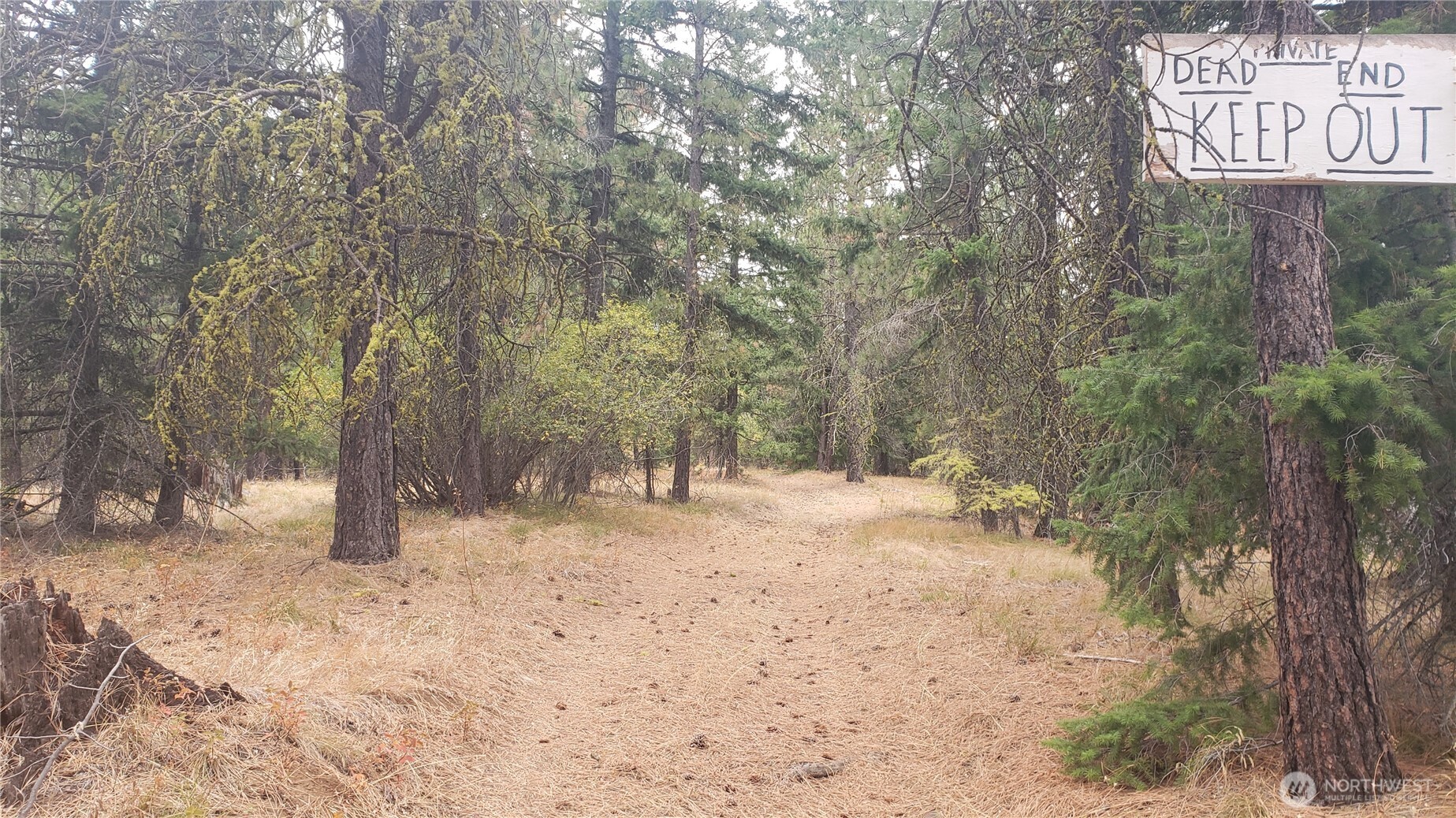 20-xx Microwave Road Cle Elum, WA 98922 - Photo 28 of 39 Gallery Image 28