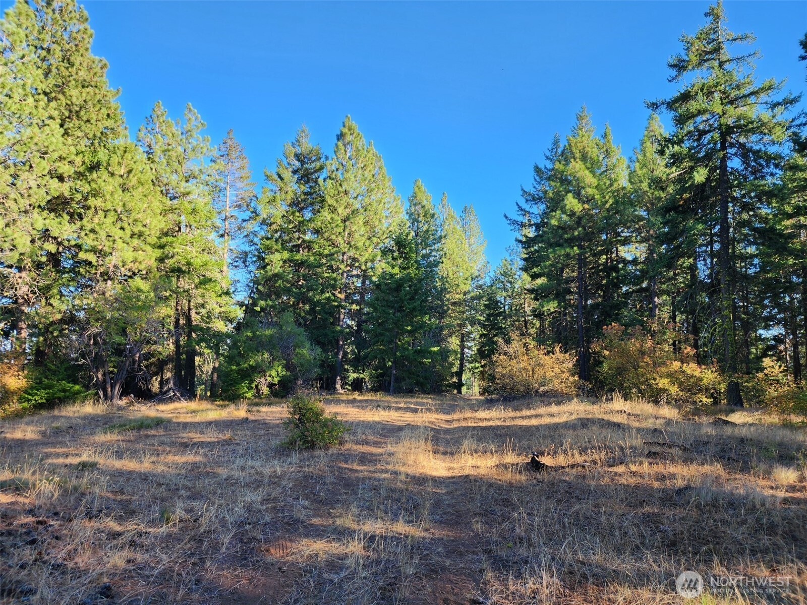 20-xx Microwave Road Cle Elum, WA 98922 - Photo 3 of 39 Gallery Image 3