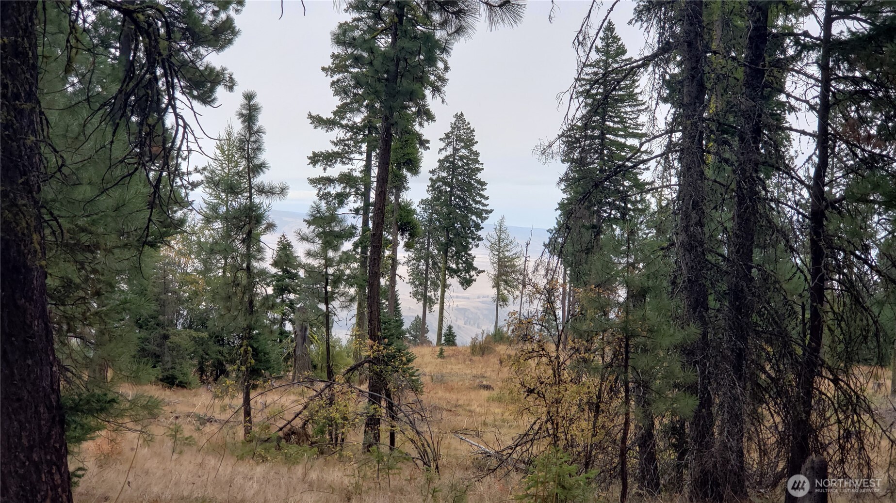 20-xx Microwave Road Cle Elum, WA 98922 - Photo 33 of 39 Gallery Image 33