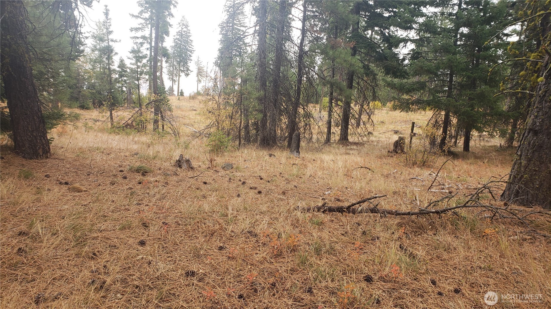 20-xx Microwave Road Cle Elum, WA 98922 - Photo 34 of 39 Gallery Image 34