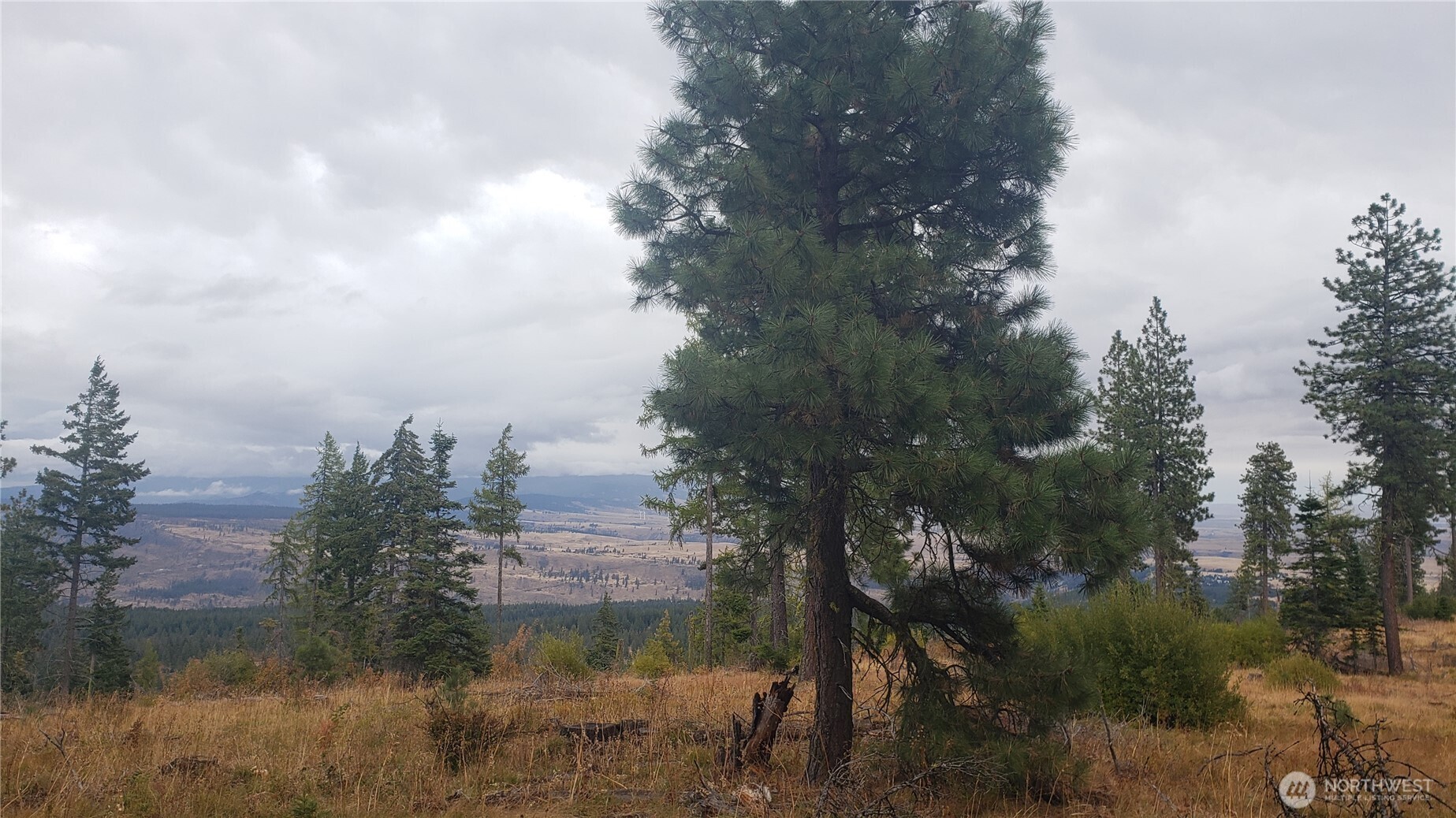 20-xx Microwave Road Cle Elum, WA 98922 - Photo 36 of 39 Gallery Image 36
