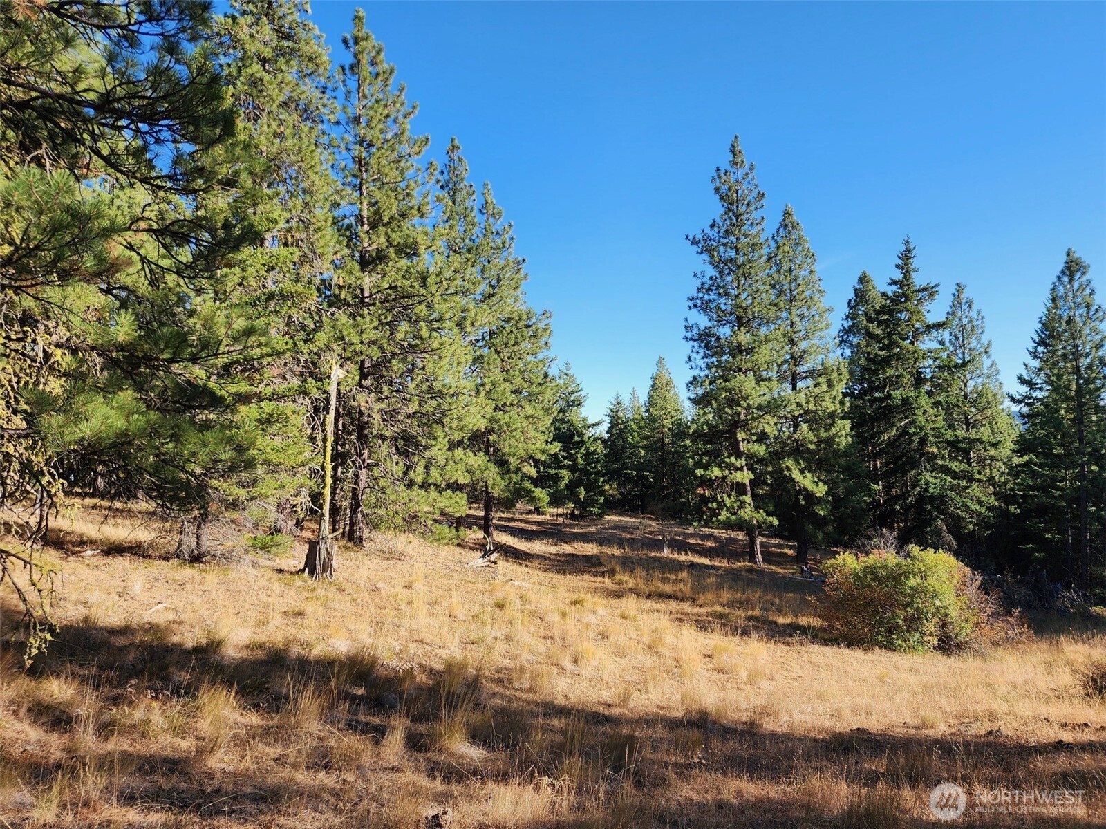 20-xx Microwave Road Cle Elum, WA 98922 - Photo 4 of 39 Gallery Image 4