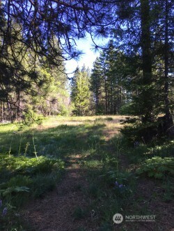 20-xx Microwave Road Cle Elum, WA 98922 - Photo 8 of 39 Gallery Image 8