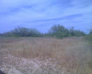 0 West Patton Road Surprise, AZ 85387 - Photo 1 of 4 LAND PHOTO