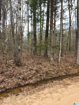 $294,900 | 0 County Road 495, Unit 1, Verbena, AL 36091