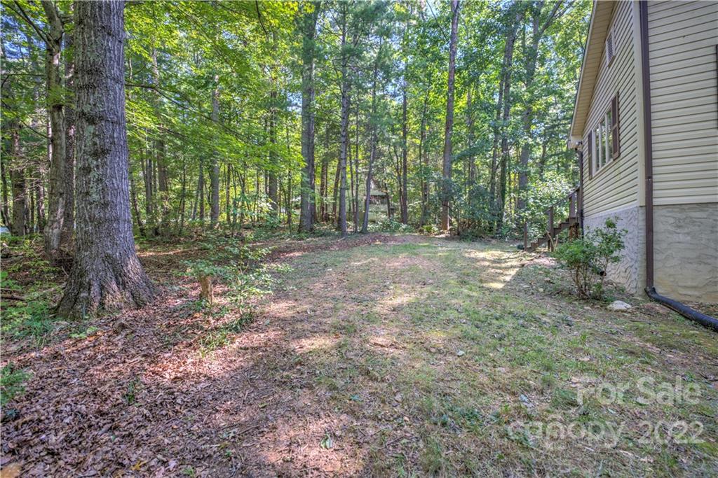 177 Weston Road Arden, NC 28704 - Photo 5 of 36 a view of a forest with trees in the background