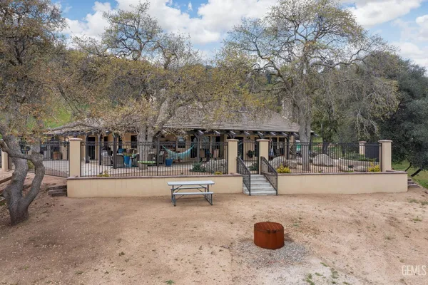 a view of a dry yard with lots of trees