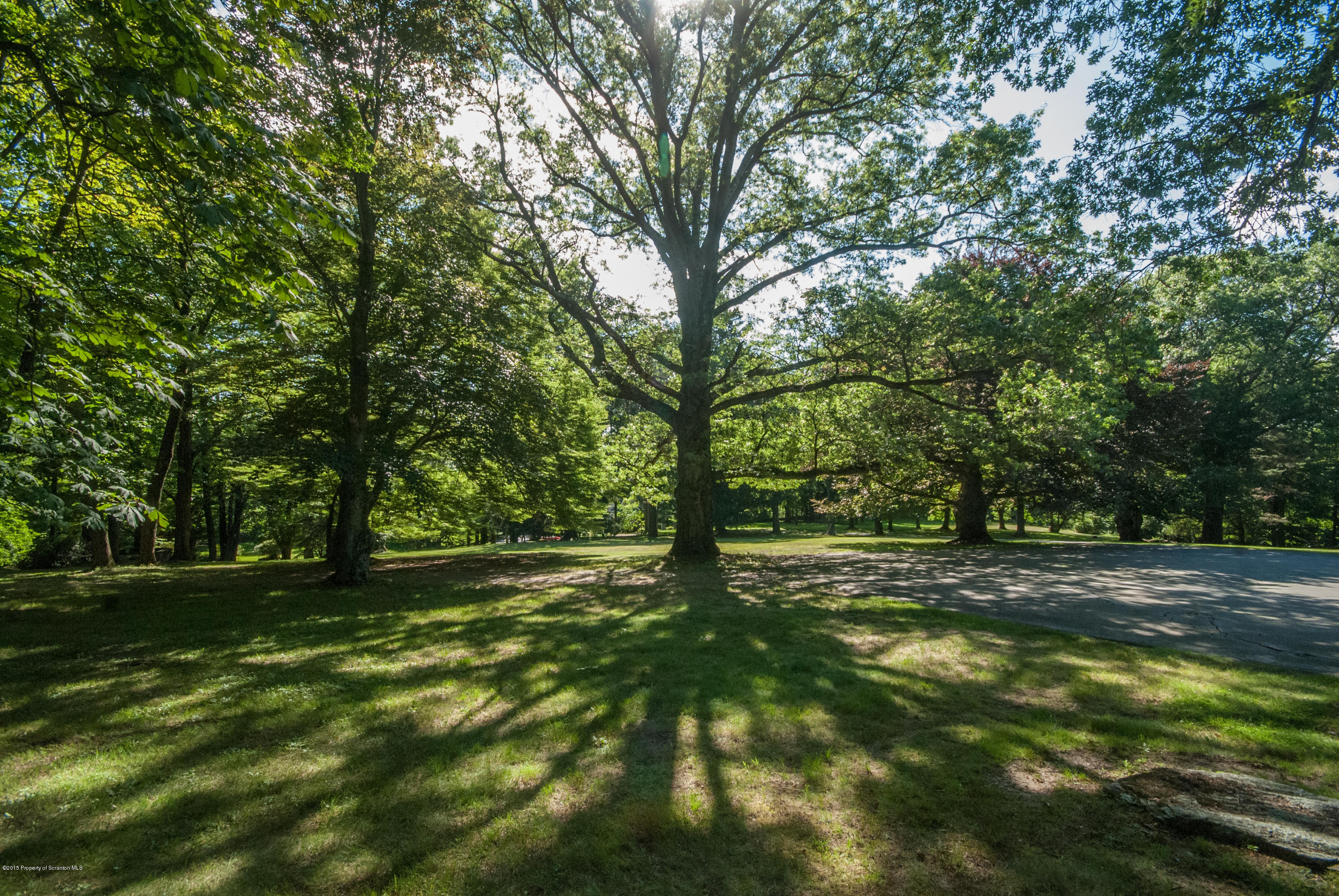 145 Carbondale Road Waverly, PA 18471 - Photo 88 of 98 a view of outdoor space with trees all around