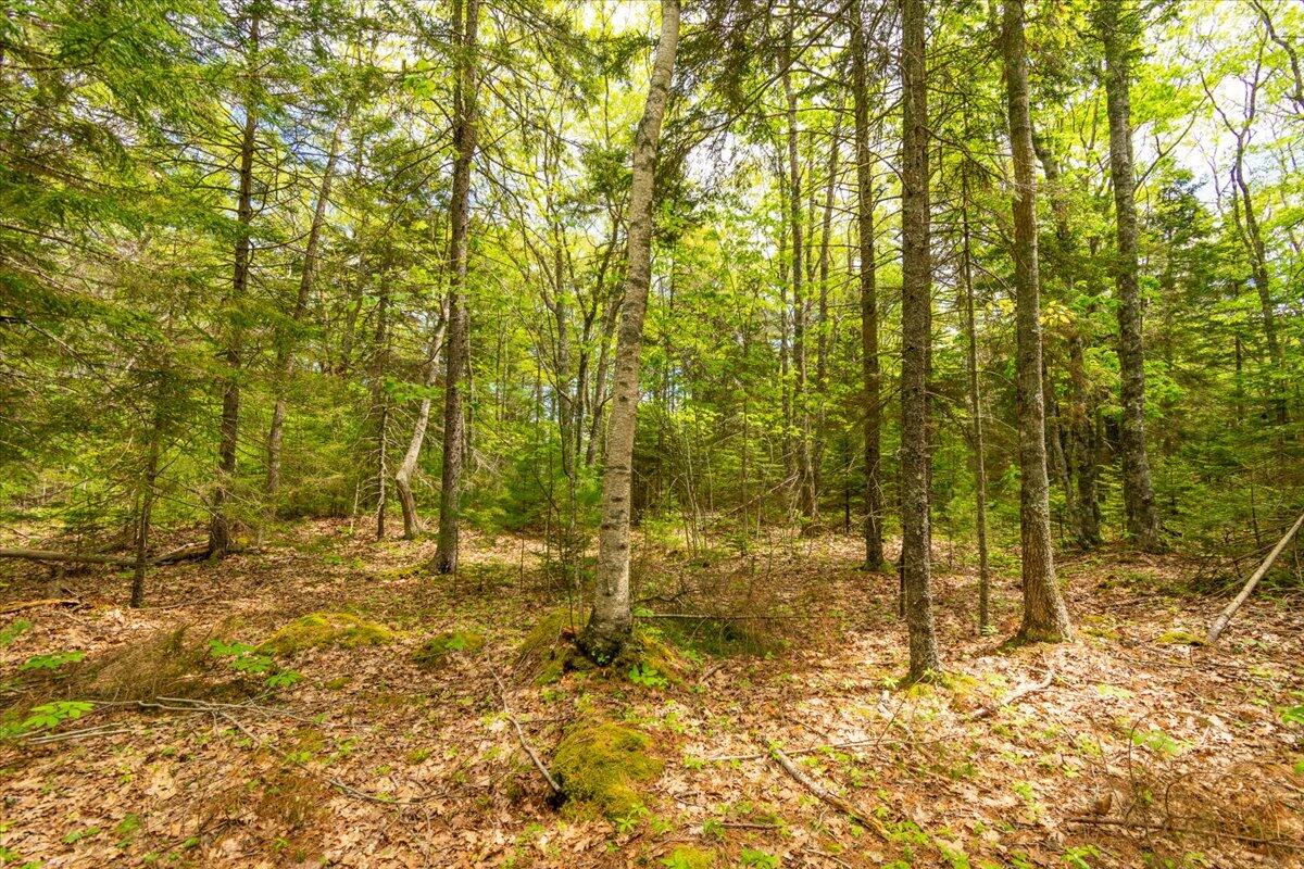 Lot 11 Russell Road Chamberlain, ME 04541 - Photo 10 of 17 Lot 11