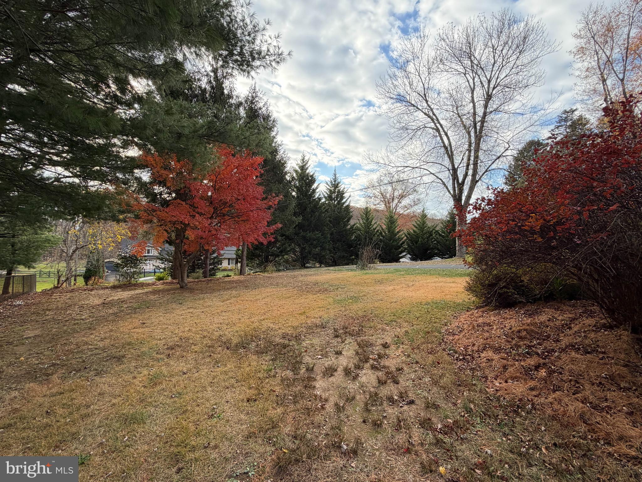 106 South Shady Retreat Road Doylestown, PA 18901 - Photo 28 of 33 a view of a yard with a tree