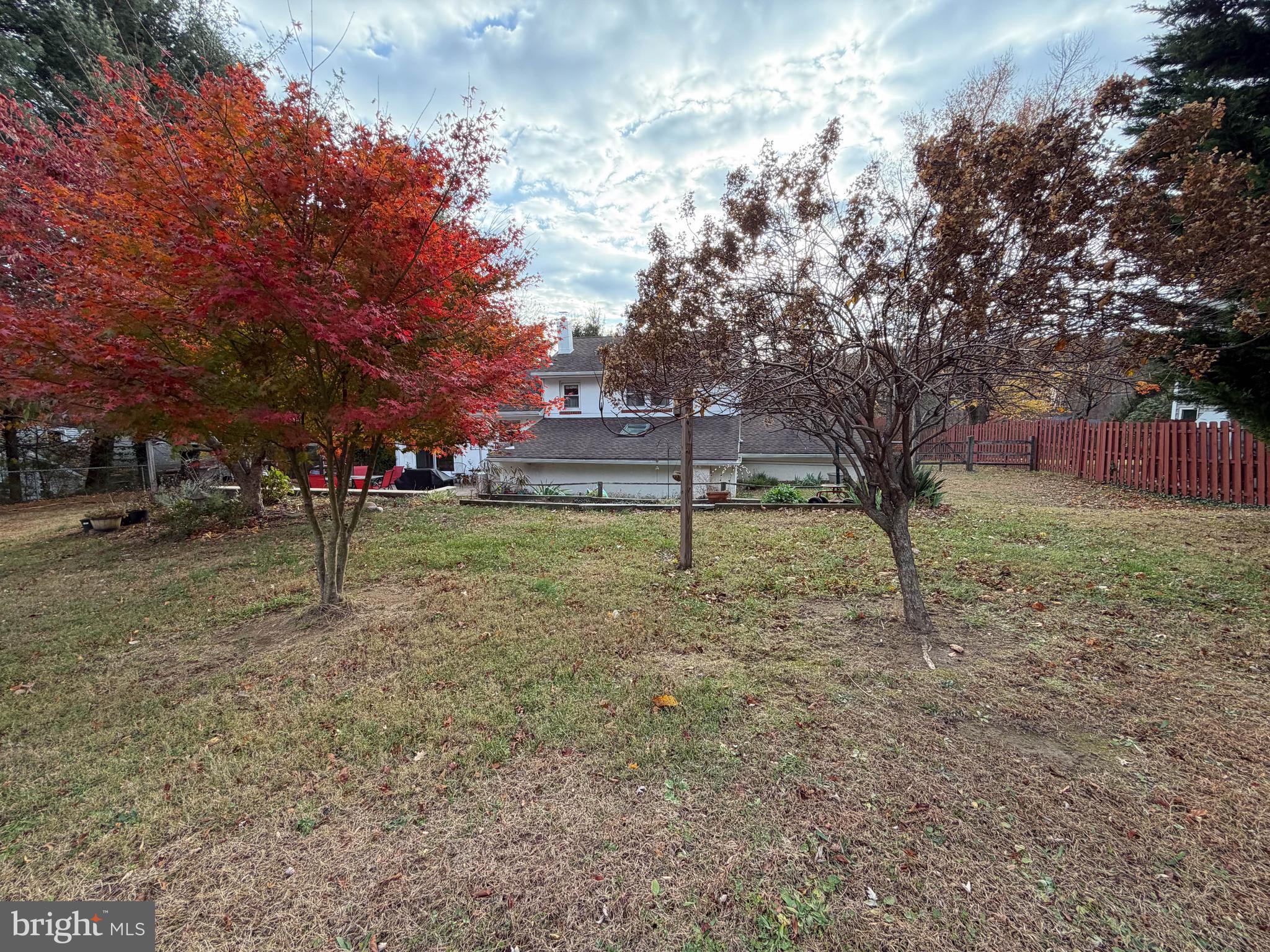 106 South Shady Retreat Road Doylestown, PA 18901 - Photo 31 of 33 a view of a tree in front of a house
