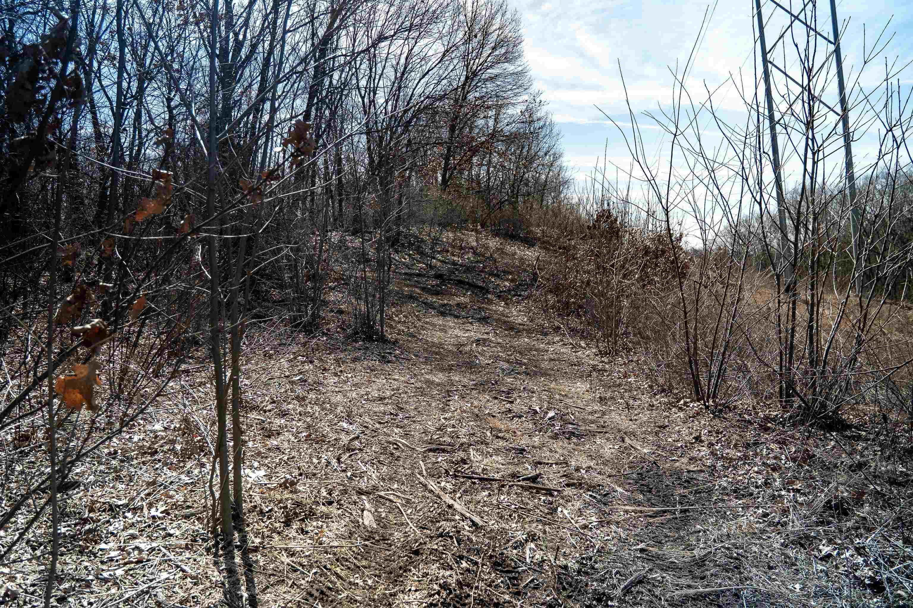 0 Holly Road Fulton, IL 61252 - Photo 72 of 92 Gallery Image 72