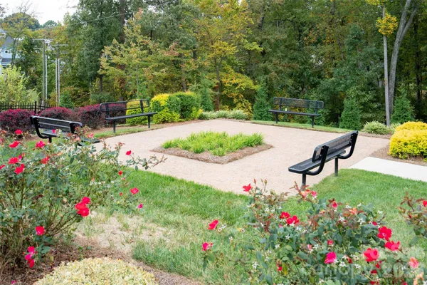 a view of a flower in a garden