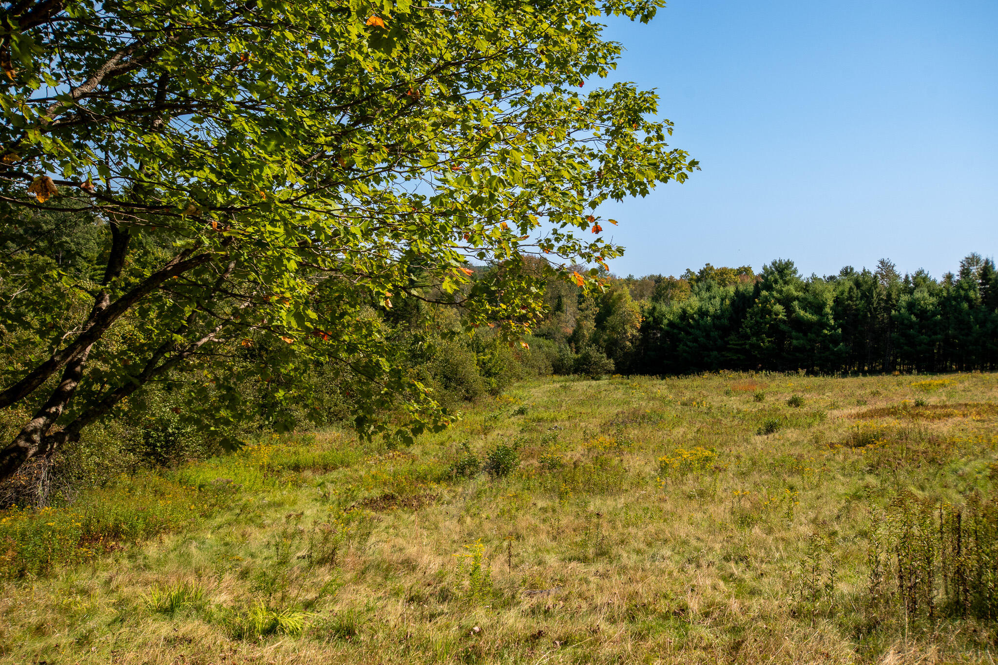 327 East River Road Skowhegan, ME 04976 - Photo 54 of 61 DSC_0864
