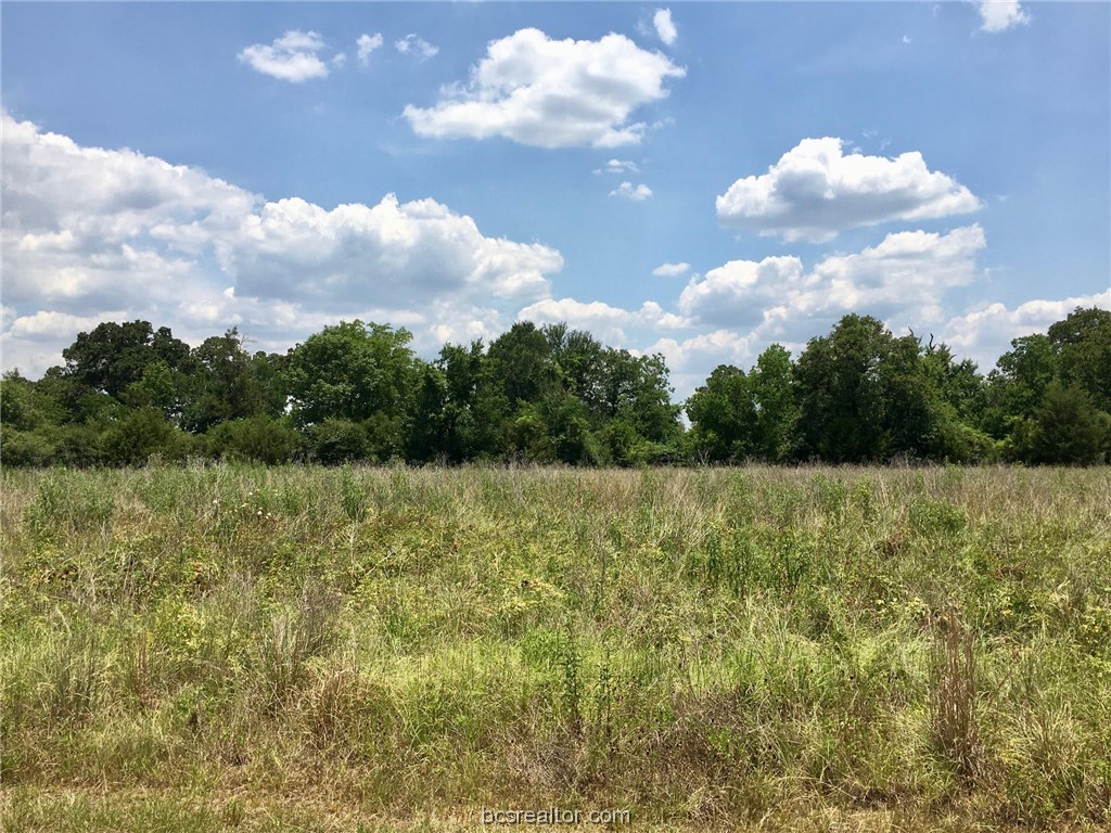 10121 Crown Point Iola, TX 77861 - Photo 1 of 1 a view of a yard
