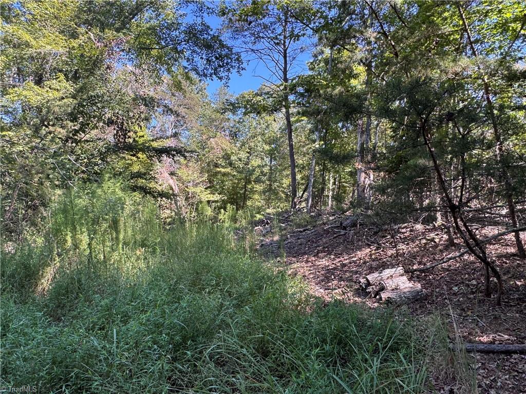 11218 Nc 268 Elkin, NC 28621 - Photo 19 of 25