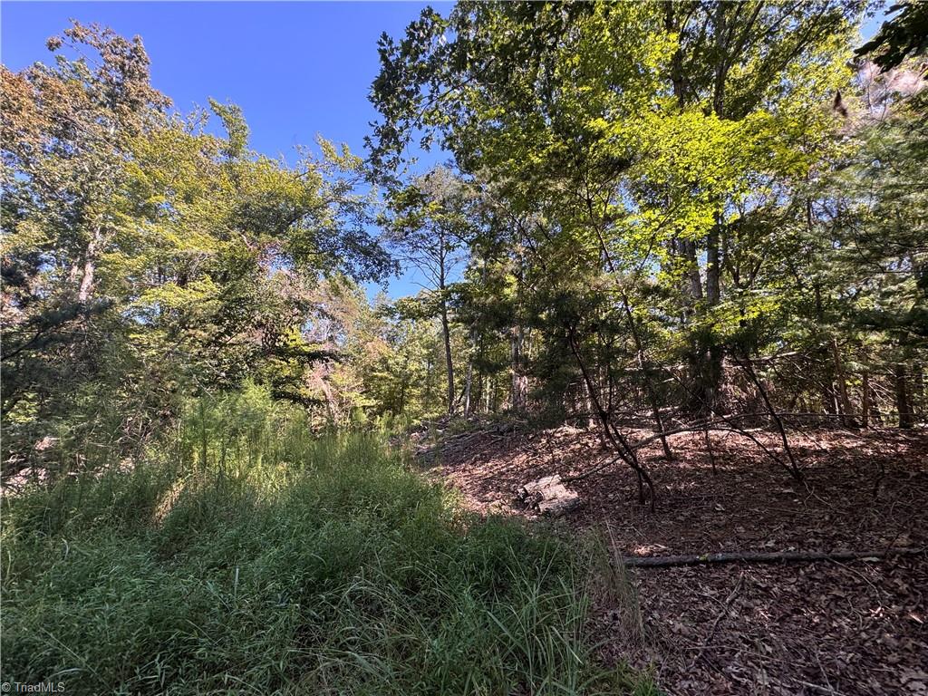 11218 Nc 268 Elkin, NC 28621 - Photo 19 of 25