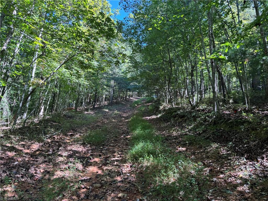 11218 Nc 268 Elkin, NC 28621 - Photo 20 of 25