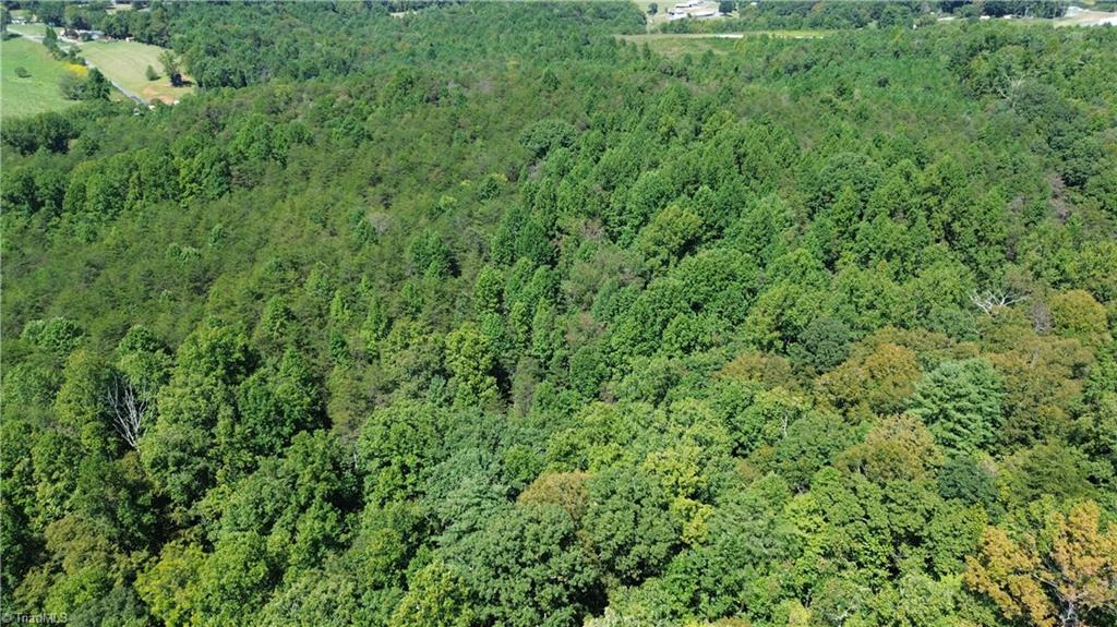 11218 Nc 268 Elkin, NC 28621 - Photo 23 of 25