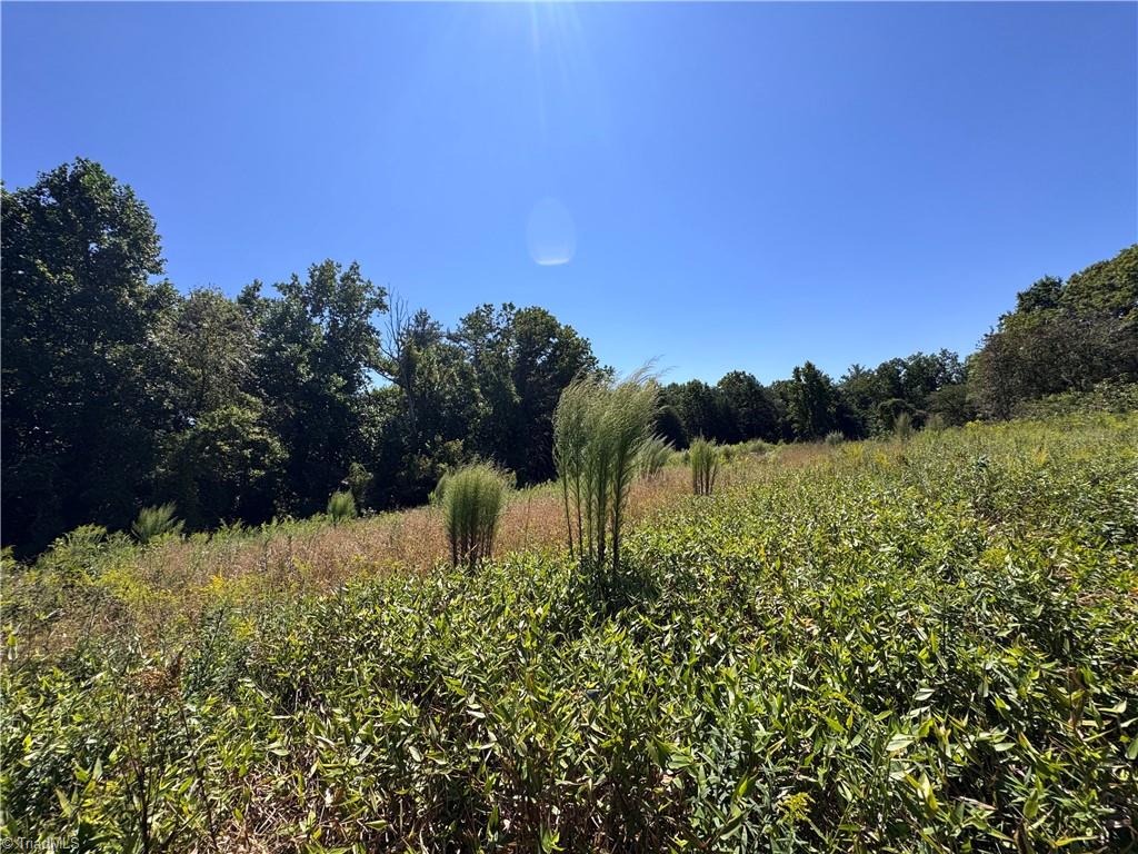 11218 Nc 268 Elkin, NC 28621 - Photo 3 of 25