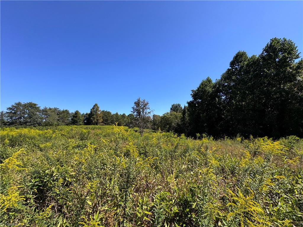 11218 Nc 268 Elkin, NC 28621 - Photo 4 of 25