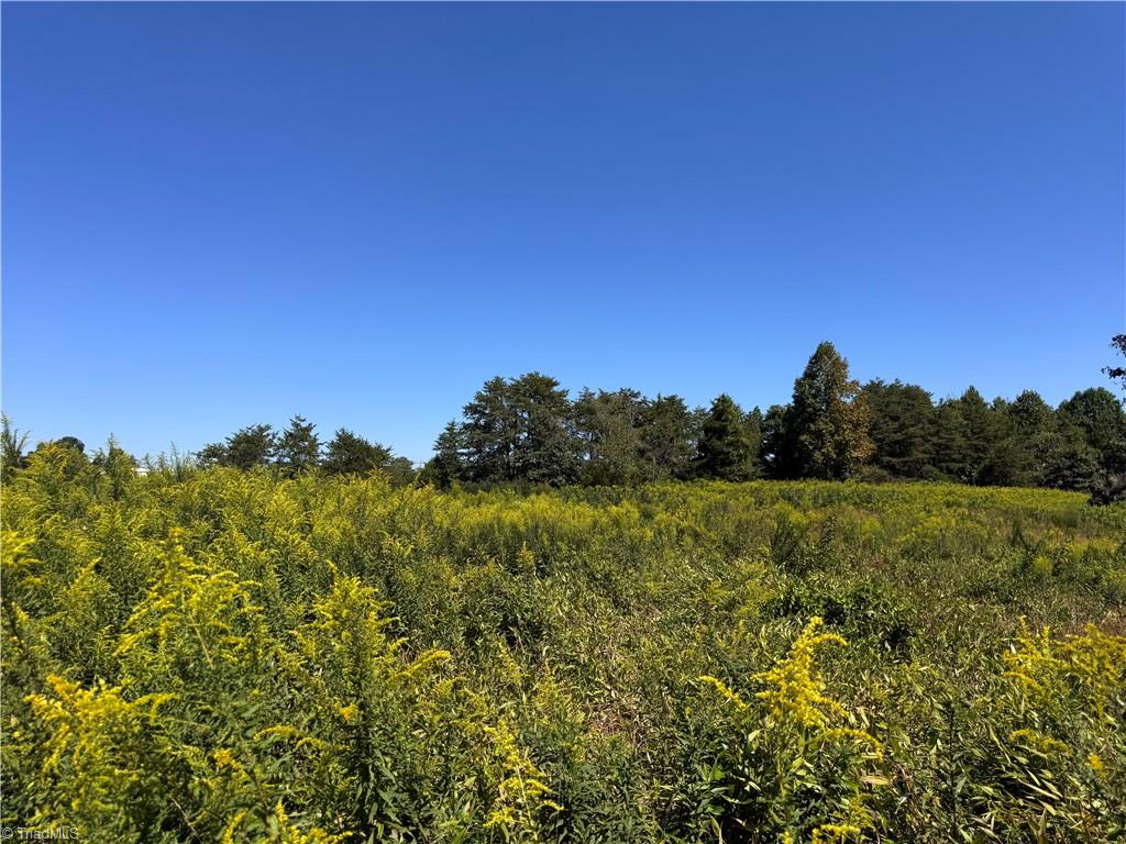 11218 Nc 268 Elkin, NC 28621 - Photo 6 of 25
