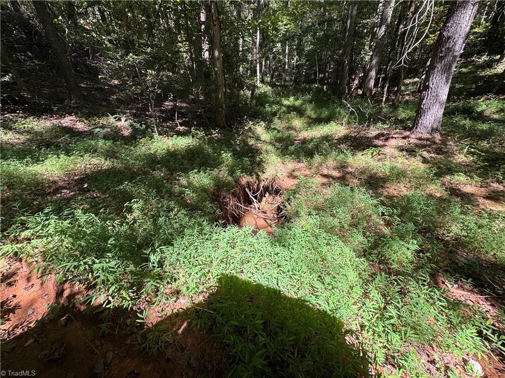 11218 Nc 268 Elkin, NC 28621 - Photo 7 of 25