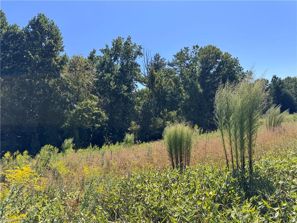 11218 Nc 268 Elkin, NC 28621 - Photo 8 of 25