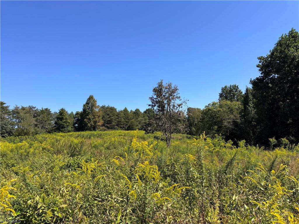 11218 Nc 268 Elkin, NC 28621 - Photo 9 of 25