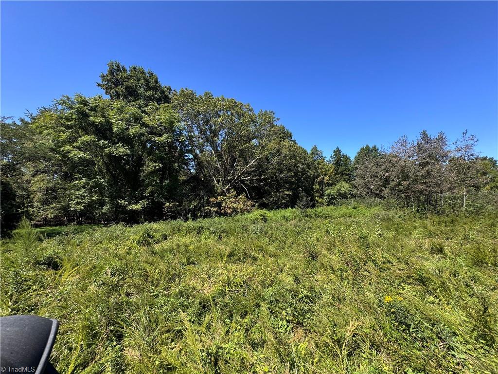 11218 Nc 268 Elkin, NC 28621 - Photo 10 of 25