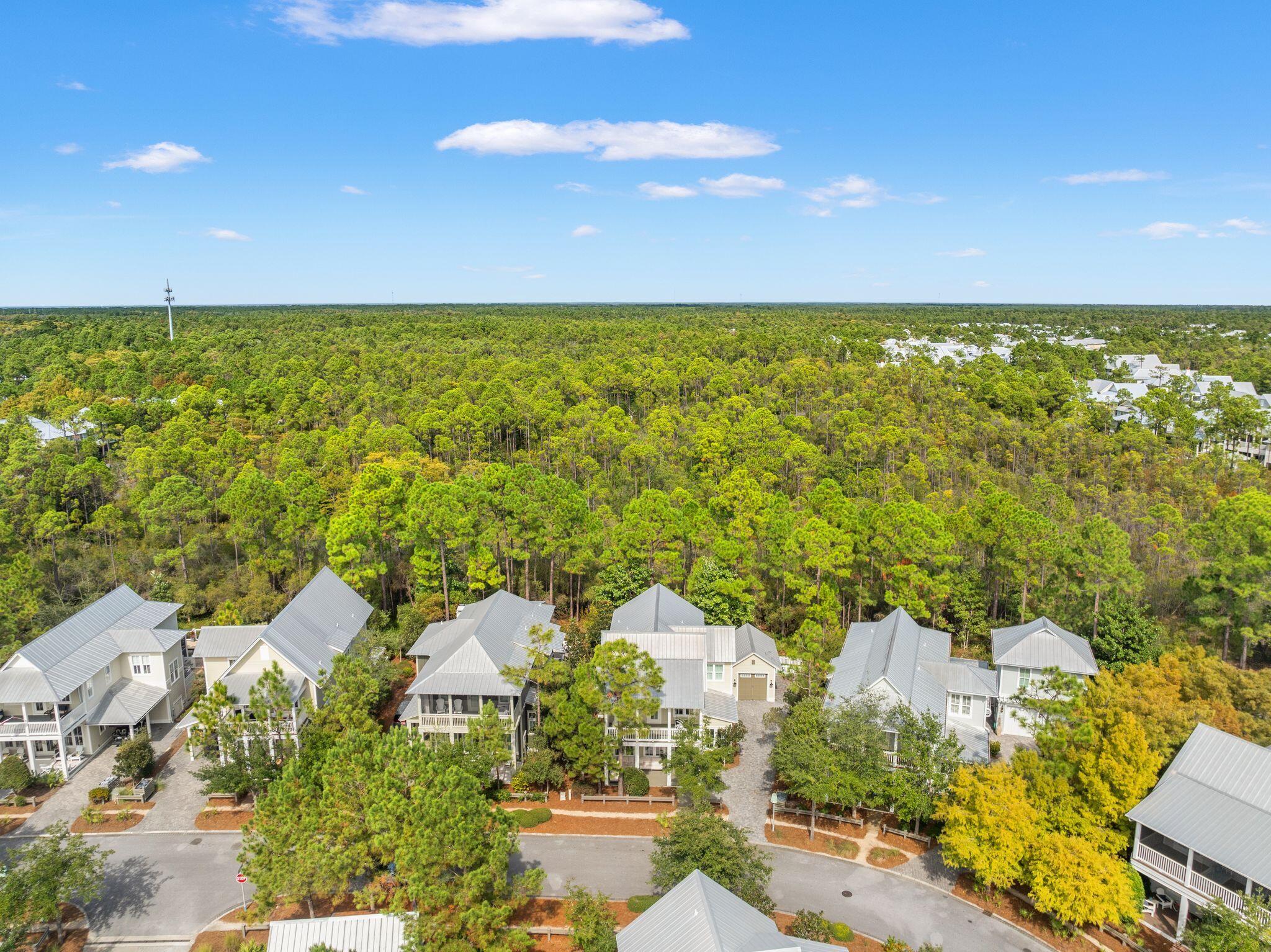 97 Sunflower Street Santa Rosa Beach, FL 32459 - Photo 73 of 86 an aerial view of residential houses with outdoor space and trees