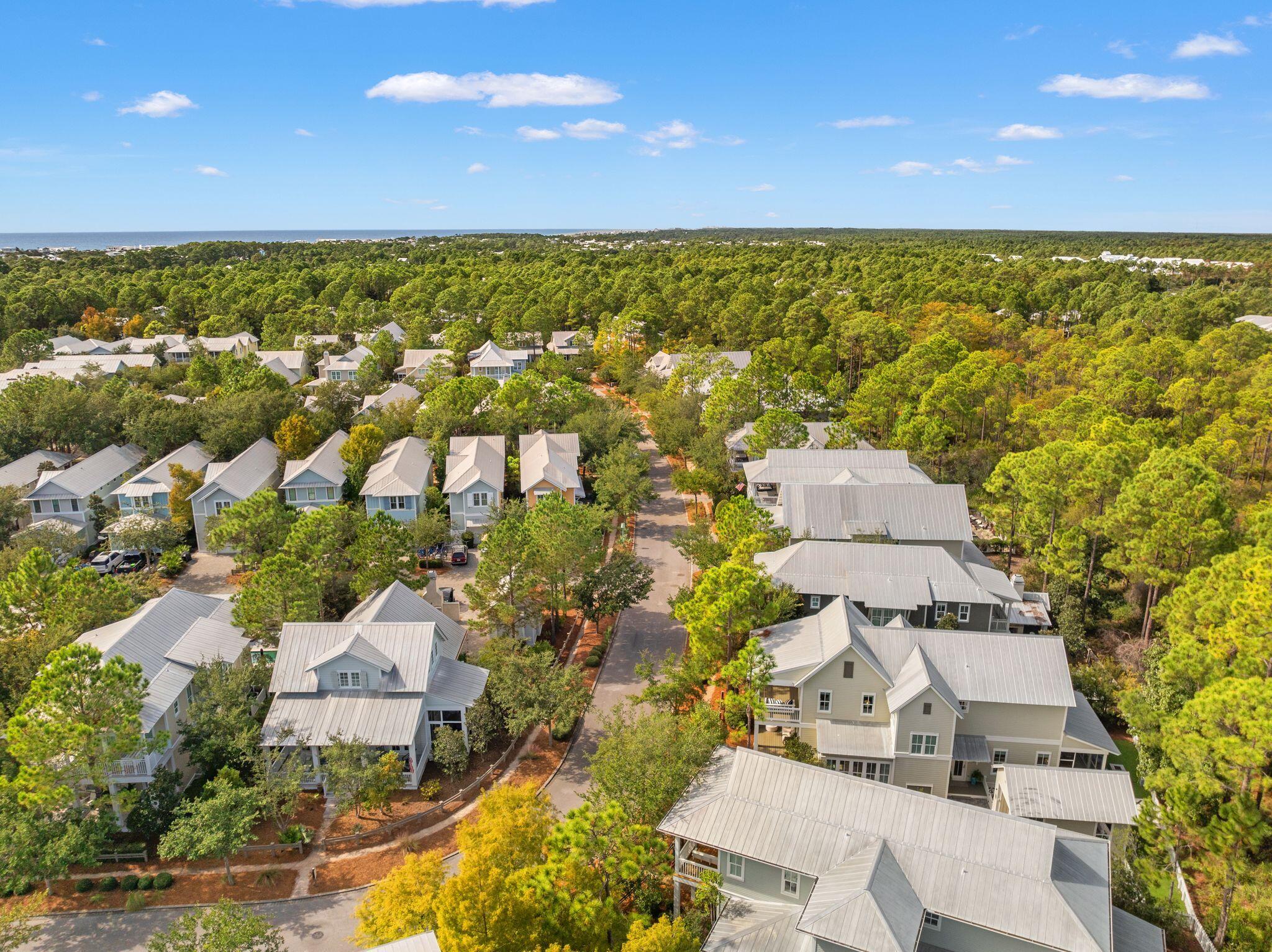97 Sunflower Street Santa Rosa Beach, FL 32459 - Photo 75 of 86 97 Sunflower Street, Santa Rosa Beach, F