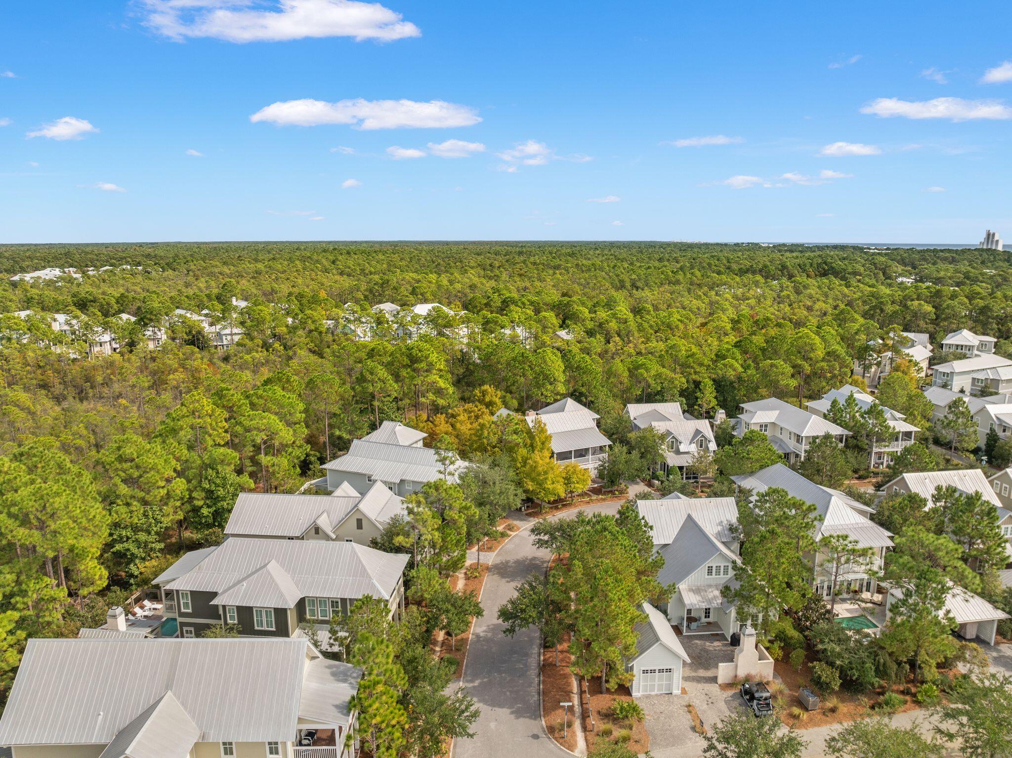 97 Sunflower Street Santa Rosa Beach, FL 32459 - Photo 77 of 86 97 Sunflower Street, Santa Rosa Beach, F