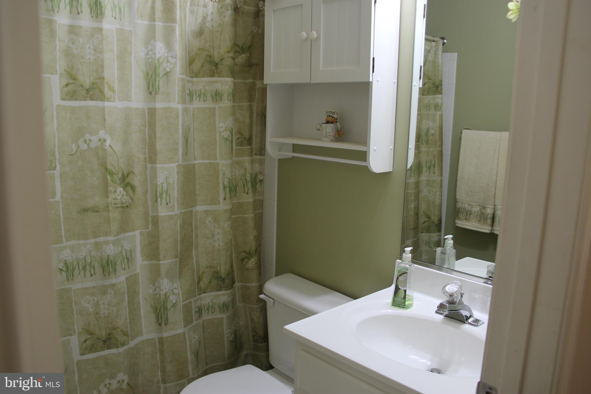 8194 Hicks Road Jessup, MD 20794 - Photo 19 of 57 Hall Bathroom