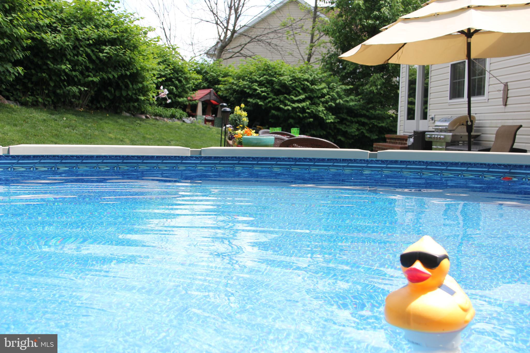 8194 Hicks Road Jessup, MD 20794 - Photo 51 of 57 Above Ground Pool