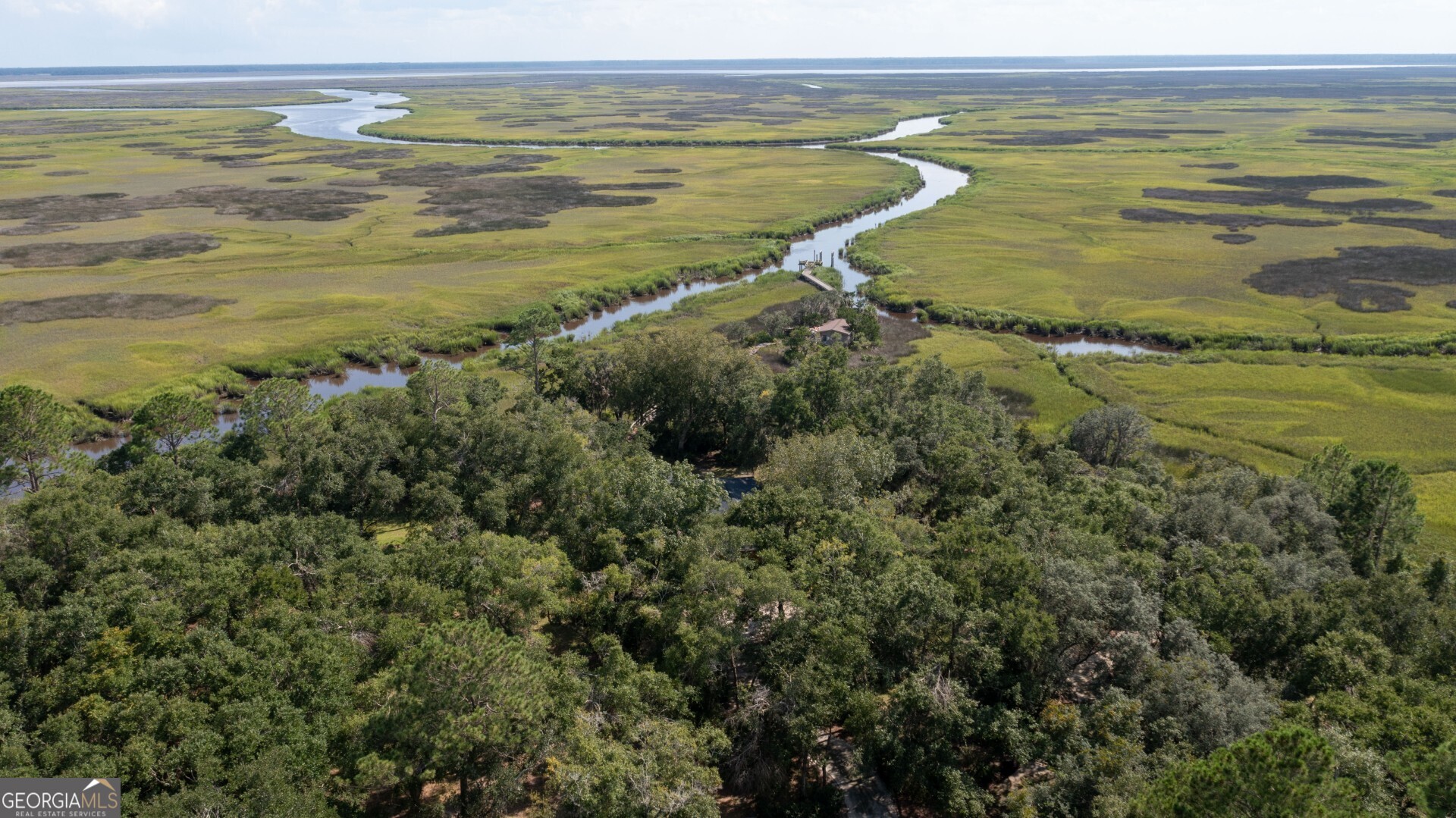 1924 Cedar Court Waverly, GA 31565 - Photo 3 of 78