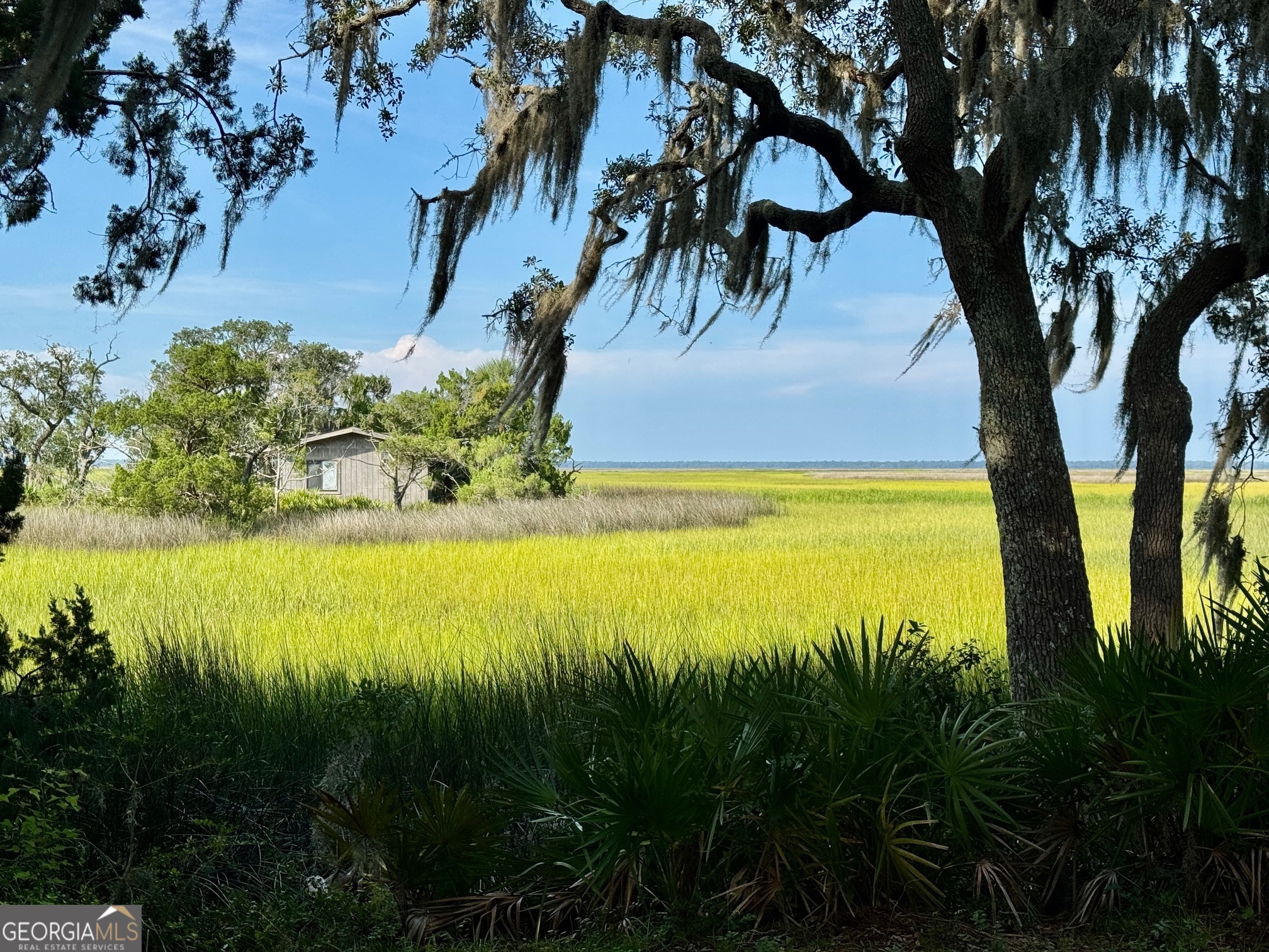 1924 Cedar Court Waverly, GA 31565 - Photo 73 of 78 a view of an ocean